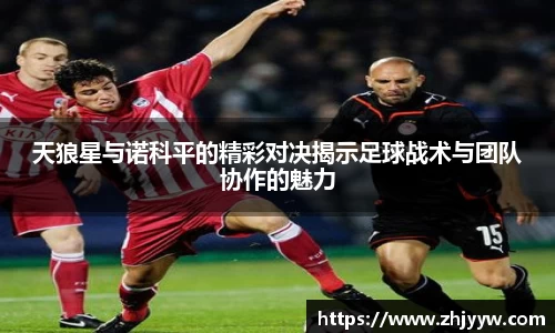 天狼星与诺科平的精彩对决揭示足球战术与团队协作的魅力